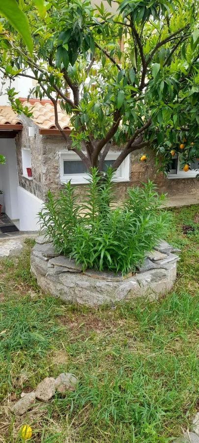 A Modern Farmhouse With Big Garden Trápeza Esterno foto